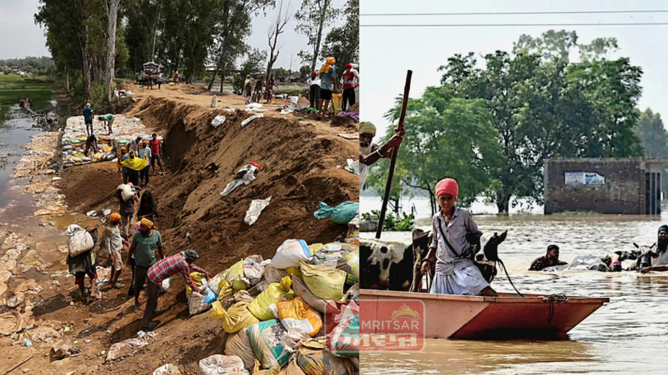 Punjab 2025 : ਹੜ੍ਹਾਂ, ਕਿਸਾਨ ਪ੍ਰਦਰਸ਼ਨ, ਅਪਰਾਧ ਤੇ ਸਿਆਸਤ ਸਮੇਤ ਕਈ ਪੱਖਾਂ ਤੋਂ ਪੰਜਾਬ ਲਈ ਬੇਹੱਦ ਖ਼ਰਾਬ ਰਿਹਾ ਸਾਲ 2025, ਪੜ੍ਹੋ ਵਿਸਥਾਰਤ ਰਿਪੋਰਟ :