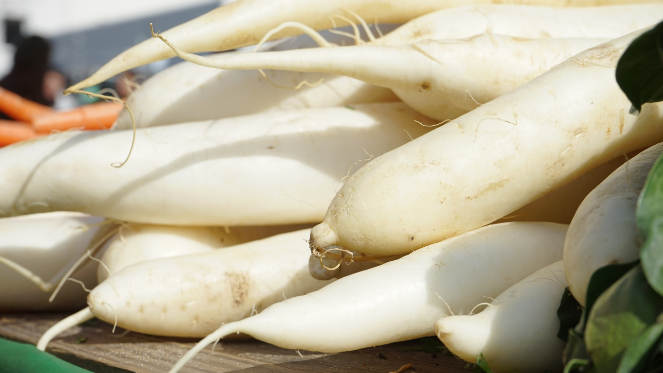 ਸਰਦੀਆਂ ‘ਚ ਮੂਲੀ ਖਾਣ ਨਾਲ ਹੁੰਦੇ ਹਨ ਕਈ ਫਾਇਦੇ, ਜਾਣੋ ਕਿਉਂ ਕਰਨਾ ਚਾਹੀਦਾ ਹੈ ਇਸ ਨੂੰ ਡਾਇਟ ‘ਚ ਸ਼ਾਮਲ !