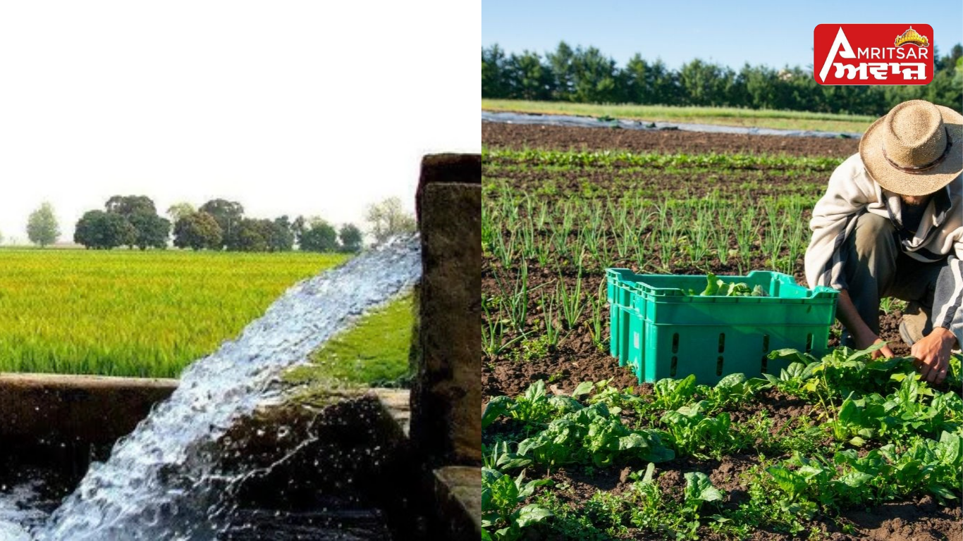 ਧਰਤੀ ਹੇਠਲੇ ਪਾਣੀ ਨੂੰ ਲੈ ਕੇ CGWB ਦੀ ਰਿਪੋਰਟ ’ਚ ਵੱਡੇ ਖੁਲਾਸੇ, ਪੰਜਾਬ ’ਚ ਹੇਠਲੇ ਪਾਣੀ ਦੀ ਹੱਦ ਤੋਂ ਵੱਧ ਹੋਈ ਵਰਤੋਂ :