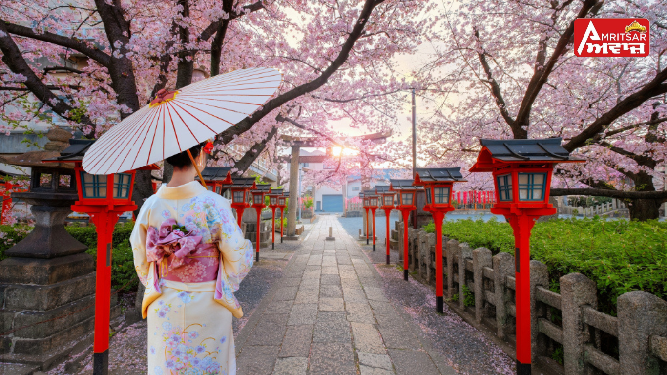 Japan- ਨੇ ਅਚਾਨਕ ਕਿਉਂ ਕੈਂਸਲ ਕੀਤਾ ਆਪਣਾ ਮਸ਼ਹੂਰ ਚੈਰੀ ਬਲੌਸਮ ਫੈਸਟੀਵਲ? ਵਜ੍ਹਾ ਜਾਣ ਕੇ ਤੁਸੀਂ ਰਹਿ ਜਾਓਗੇ ਹੈਰਾਨ: