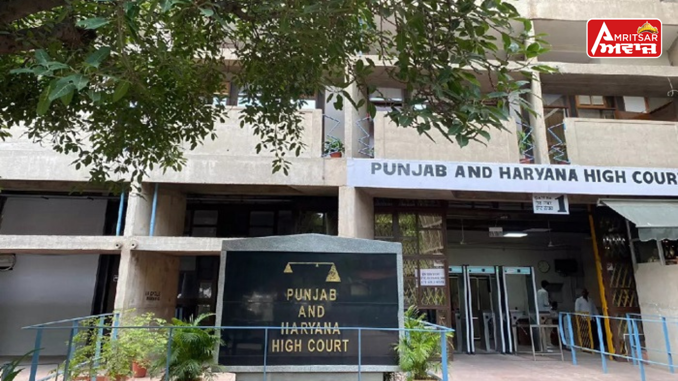High Court – ਨੇ ਮੁਲਾਜ਼ਮਾਂ ਨੂੰ ਦਿੱਤੀ ਵੱਡੀ ਰਾਹਤ, ਕਿਹਾ- ਮੰਡੀ ਬੋਰਡ ਸਕੱਤਰ ਨੂੰ ਨਿਯੁਕਤੀਆਂ ਰੱਦ ਕਰਨ ਦਾ ਹੱਕ ਨਹੀਂ :