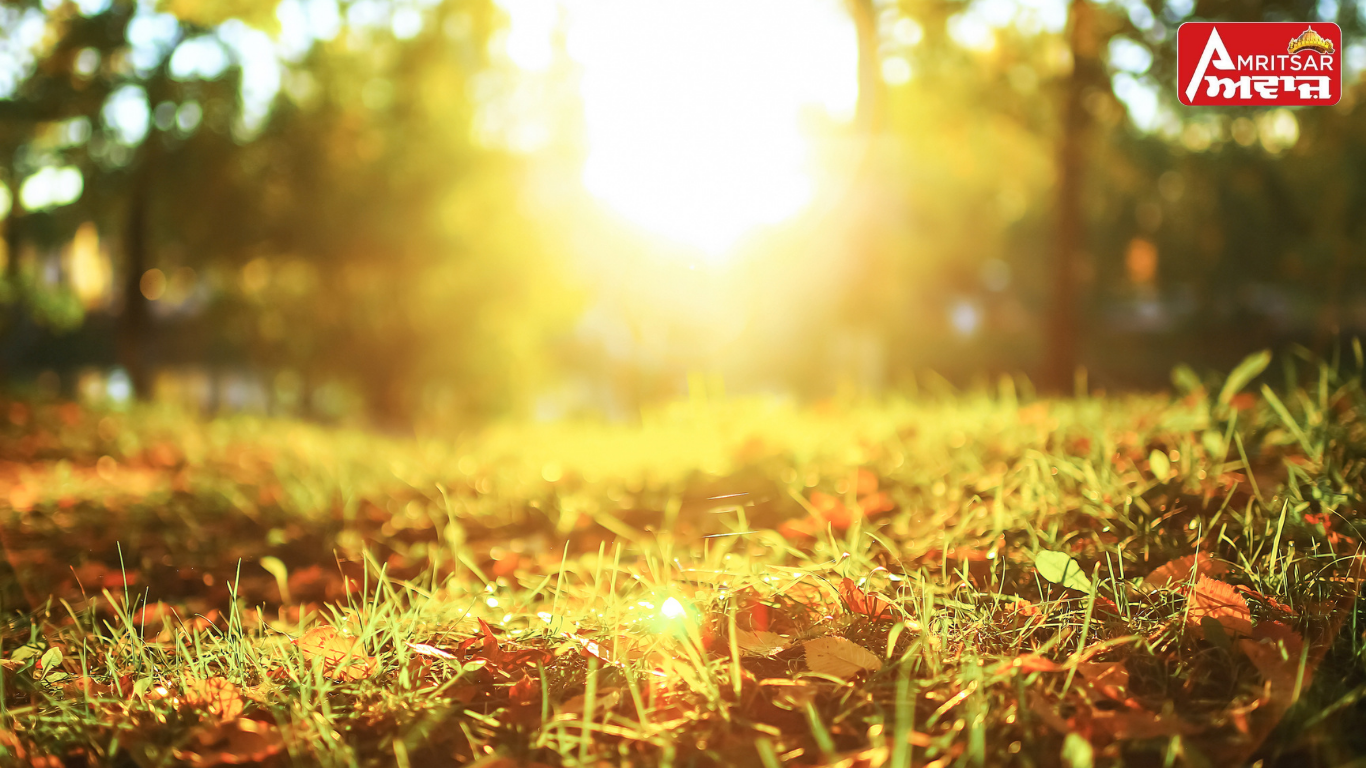 Punjab Weather Update: ਫਰਵਰੀ ‘ਚ ਹੀ ਮਾਰਚ ਵਰਗਾ ਸੇਕ: ਤਾਪਮਾਨ ਨੇ ਤੋੜੇ ਰਿਕਾਰਡ, ਅੱਜ ਤੋਂ ਬਦਲੇਗਾ ਮੌਸਮ ਦਾ ਮਿਜ਼ਾਜ !